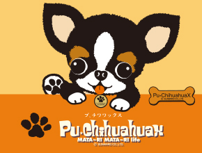 チワワックス-2      